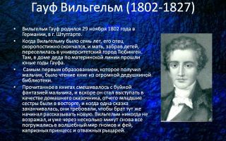 Краткая биография гауф