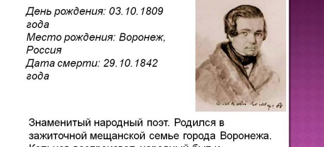 Краткая биография кольцов