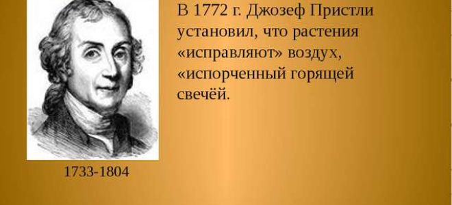 Краткая биография пристли