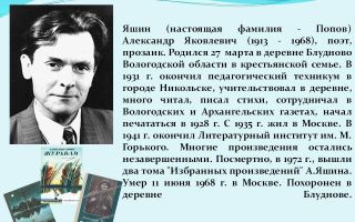 Краткая биография яшин