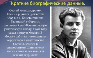 Краткая биография есенин