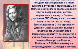 Краткая биография друнина