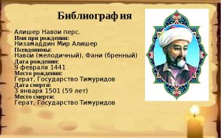 Краткая биография навои